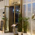 Ceret Emquartier Preview